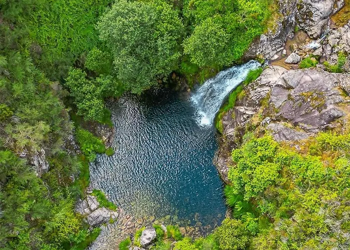 Casa Do Carvalhal 펜션 *