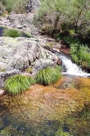 Casa Do Carvalhal 펜션