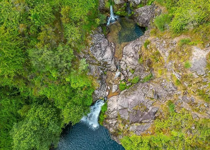 펜션 Casa Do Carvalhal