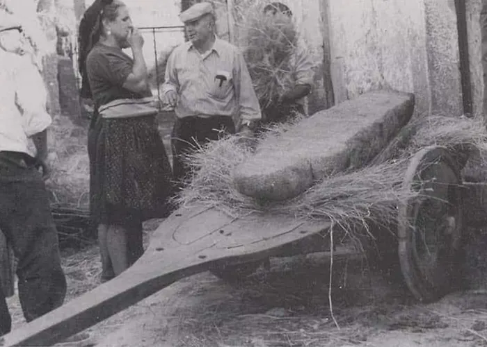 Holiday home Casa Do Carvalhal *