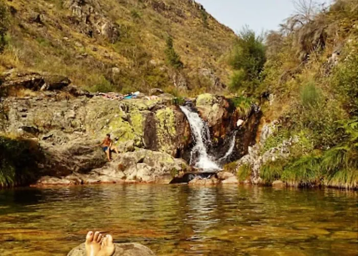 Casa Do Carvalhal 펜션 *