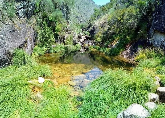 Casa Do Carvalhal 펜션